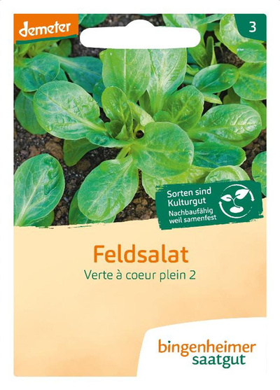 Produktfoto zu Samen: Feldsalat