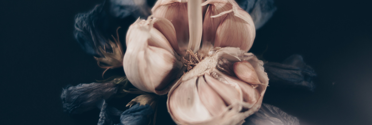 Warenkunde Obst und Gemüse in der Ökokiste
