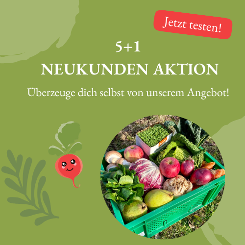 KI generiert: Korb mit Obst und Gemüse, 5+1 Neukunden Aktion. Text: "Überzeuge dich selbst von unserem Angebot!"