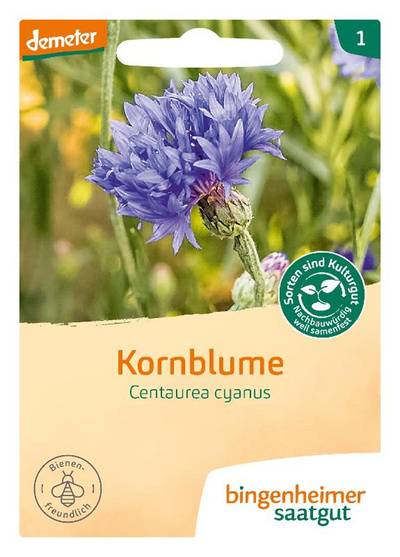 Produktfoto zu Samen: Kornblume
