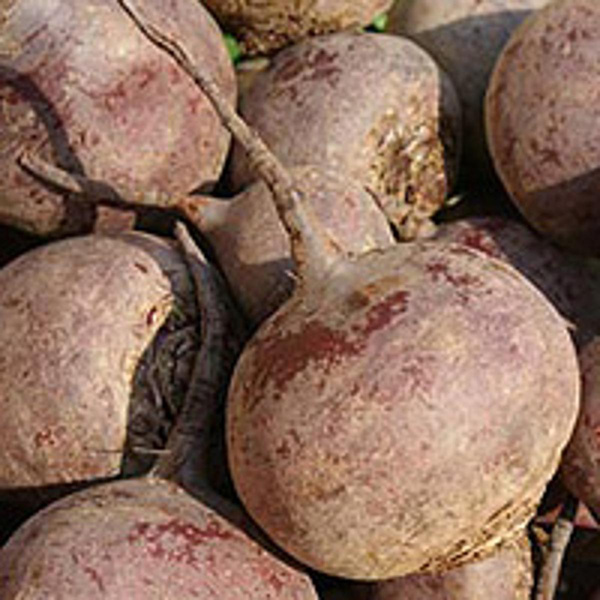 Produktfoto zu Rote Bete
