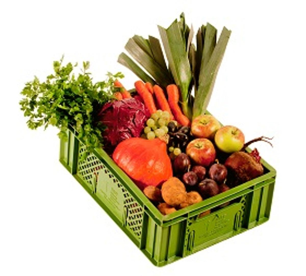 Obst-Gemüsekiste groß