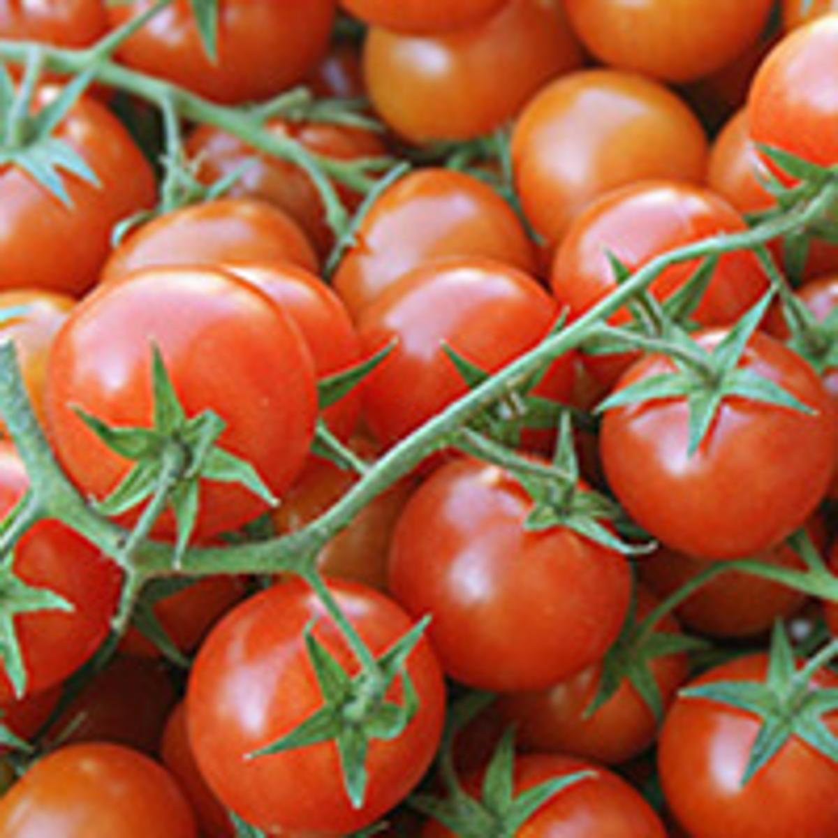 Tomaten, Cherry