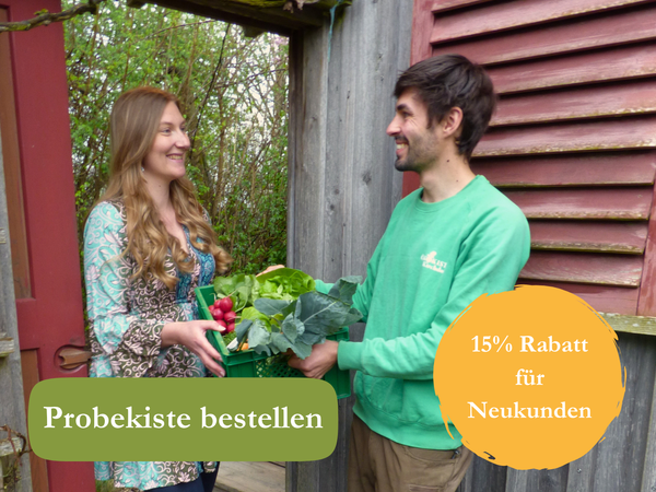 KI generiert: Zwei Personen mit einer Gemüsekiste, Text: "Probierkiste bestellen" und "15% Rabatt für Neukunden".