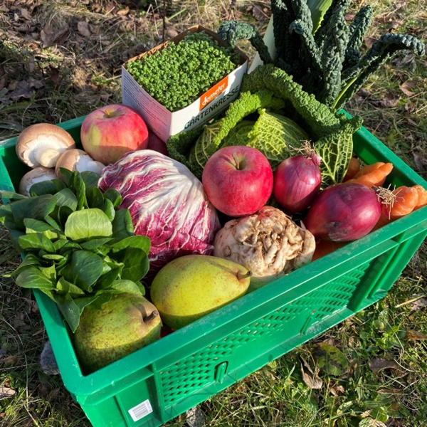 Probekiste Gemüse & Obst