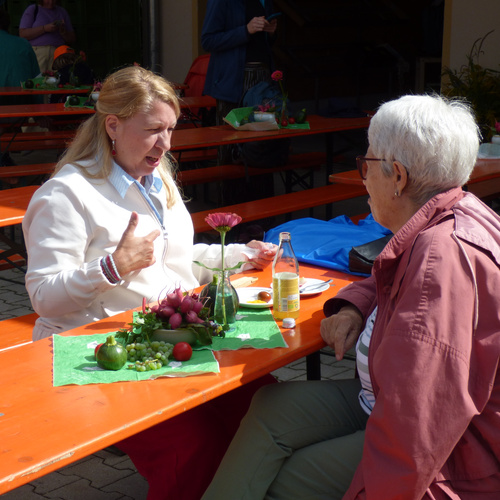 KI generiert: Felder mit grünem und violettem Gemüse in Reihen angebaut.