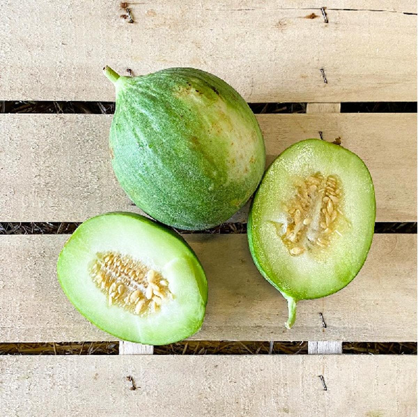 Produktfoto zu Gurkenmelone Barattiere