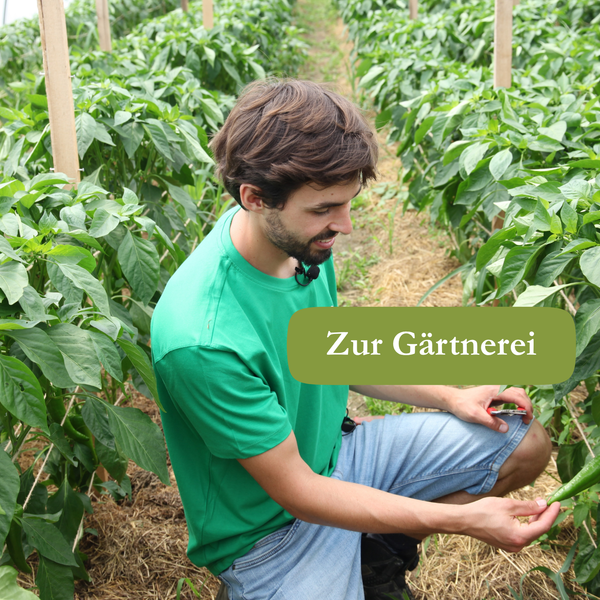 KI generiert: Ein Mann in einem Garten pflegt Pflanzen. Text: "Zur Gärtnerei".