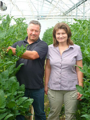 KI generiert: Ein Mann und eine Frau stehen in einem Gewächshaus voller Pflanzen.