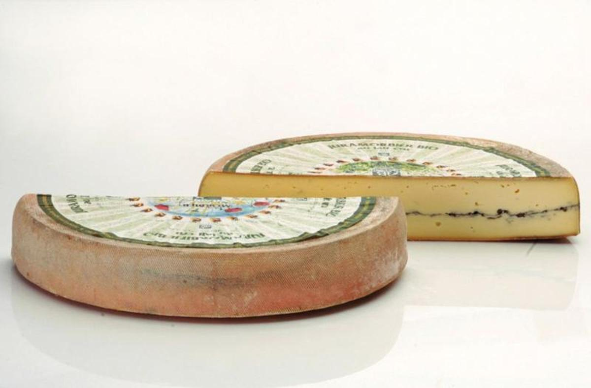 Morbier -  Frankreichs AOP- Klassiker mit Ascheschicht in der Mitte