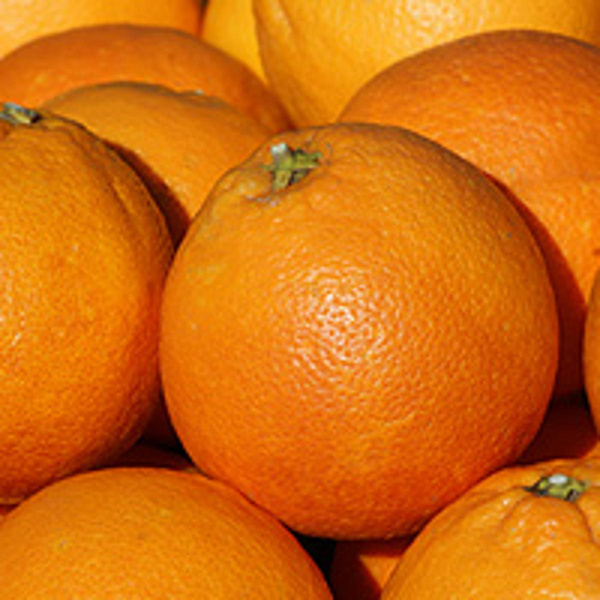 Produktfoto zu Orangen Tarocco (Halbblut)