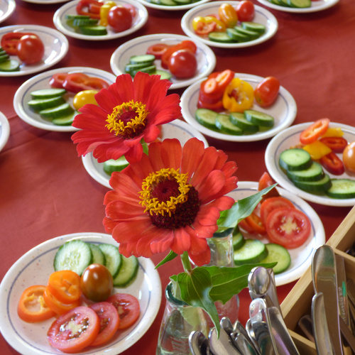 KI generiert: Grüne Salatköpfe in ordentlichen Reihen auf einem Feld.