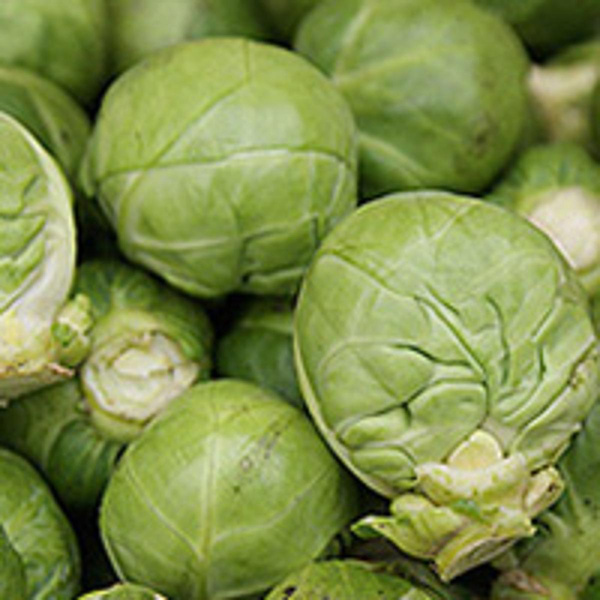 Produktfoto zu Rosenkohl