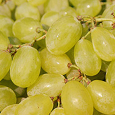 Produktfoto zu Trauben gelb Muscat