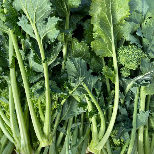 Produktfoto zu Cime di Rapa (Stängelkohl)