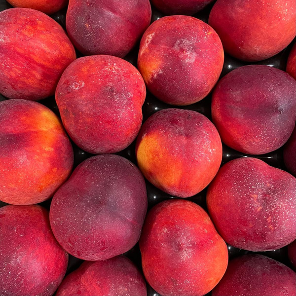 Produktfoto zu Nektarinen gelb