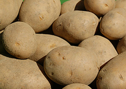 Produktfoto zu Kartoffelkiste mittel