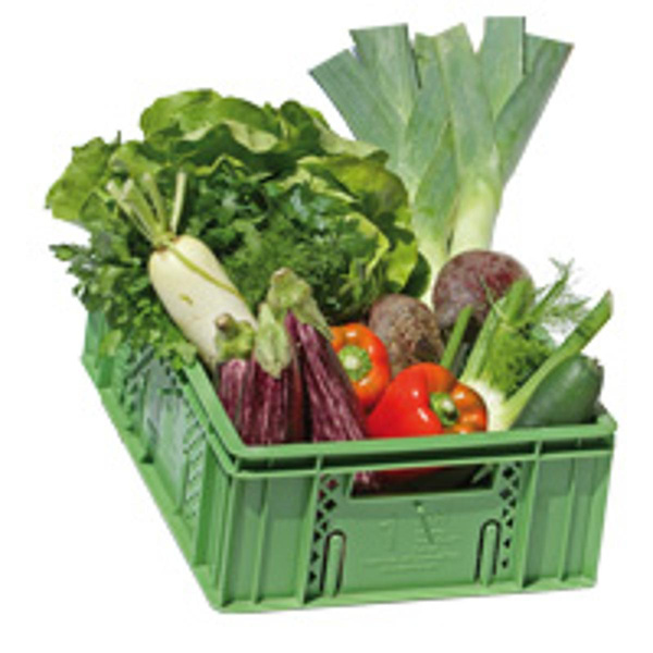 Kochgemüse-Kiste groß