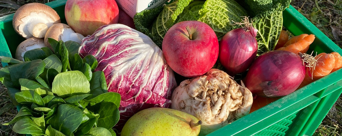 KI generiert: Eine grüne Kiste mit frischem Obst und Gemüse wie Äpfeln, Zwiebeln, Salat und Karotten.