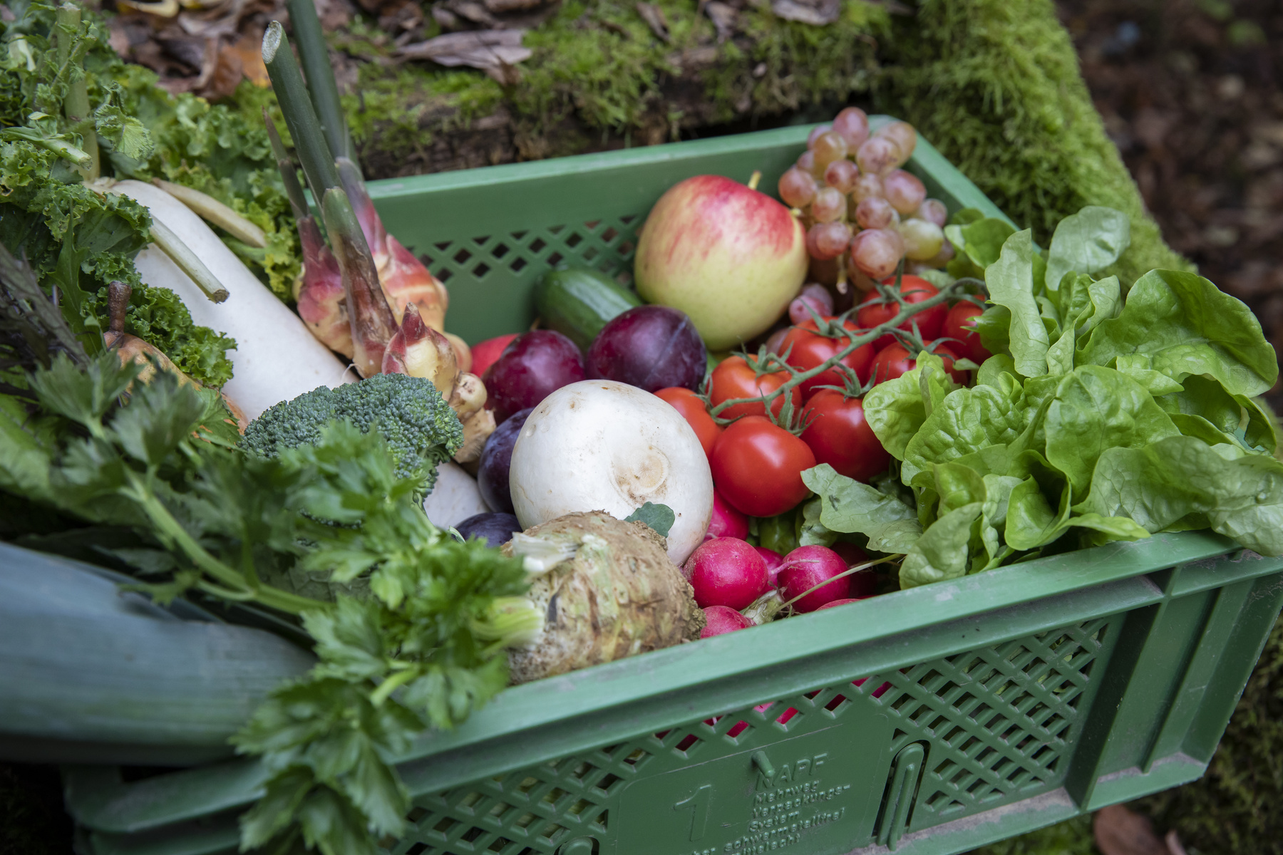 KI generiert: Eine Kiste voller frischen Obst und Gemüse, darunter Äpfel, Tomaten, Salat und mehr.