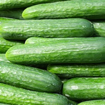 Produktfoto zu Minigurken