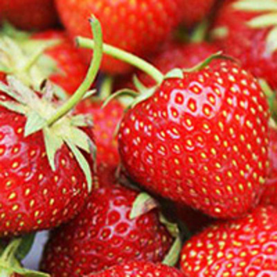 Produktfoto zu Erdbeeren, 250 g