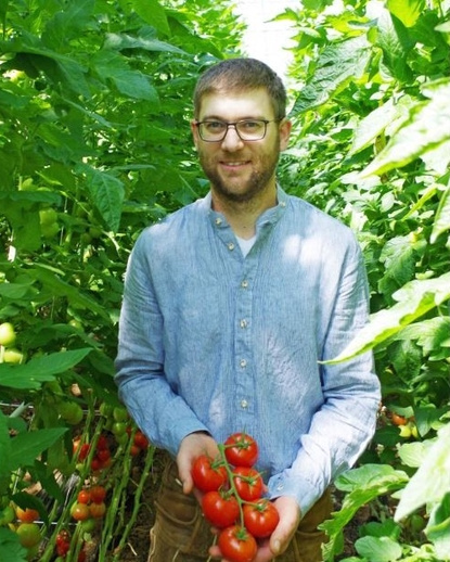 KI generiert: Ein Mann im Gewächshaus hält reife Tomaten in den Händen.