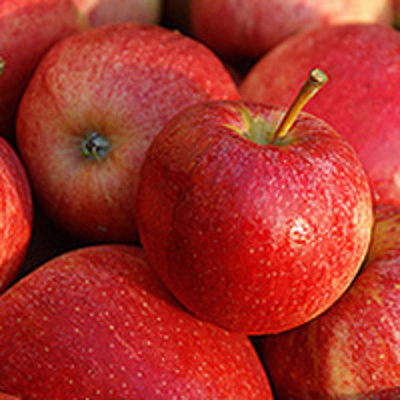 Produktfoto zu Äpfel Gala