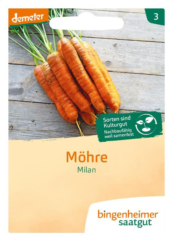 Produktfoto zu Samen: Möhren 'Milan'