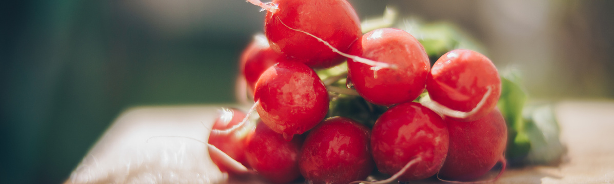 Warenkunde Obst und Gemüse in der Ökokiste