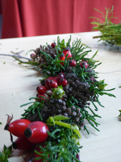 KI-generierte Beschreibung: Hauptinhalt: Tomatenpflanze mit roten Tomaten.