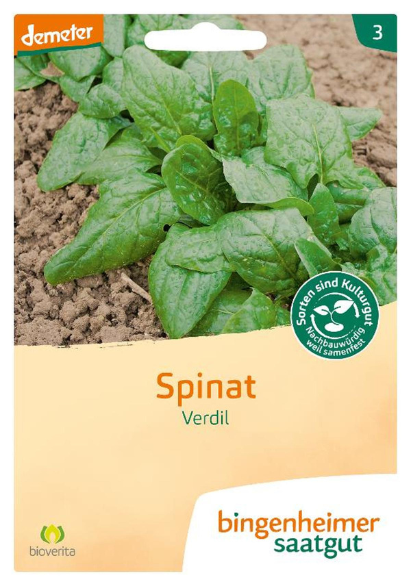 Produktfoto zu Samen: Spinat 'Verdil'