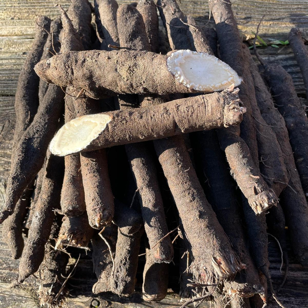 Produktfoto zu Schwarzwurzeln