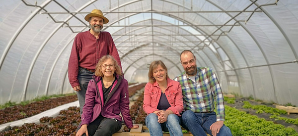 KI generiert: Vier Personen posieren in einem Gewächshaus mit Salatpflanzen.