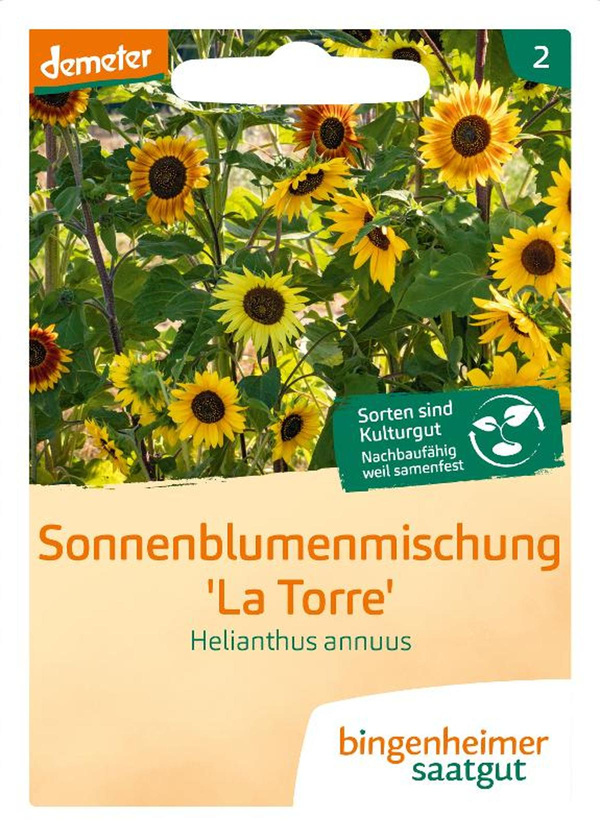 Produktfoto zu Samen: Sonnenblumen 'La Torre'