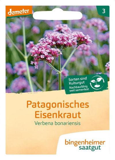 Produktfoto zu Samen: Patagonisches Eisenkraut (Verbena bonariensis)