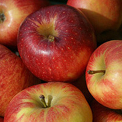 Produktfoto zu Äpfel 5-kg-Kiste - Mischung aus aktuellem Sortiment