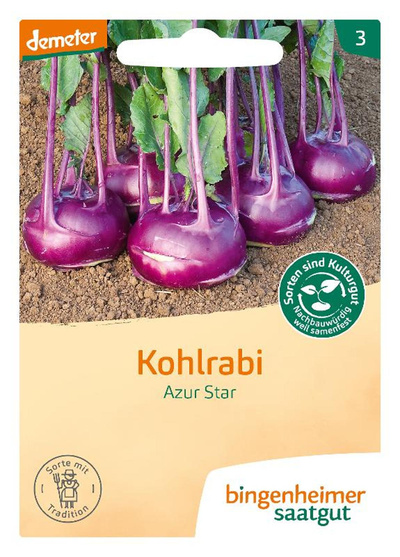 Produktfoto zu Samen: Kohlrabi 'Azur Star'