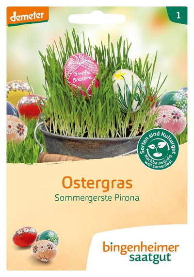 Produktfoto zu Samen: Ostergras