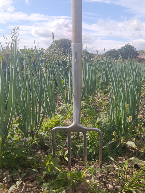 KI-generierte Beschreibung: Hauptinhalt: Schilder mit QR-Codes in einem Feld.