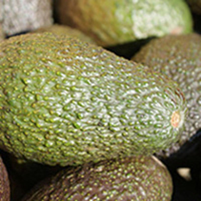 Produktfoto zu Avocado Bacon