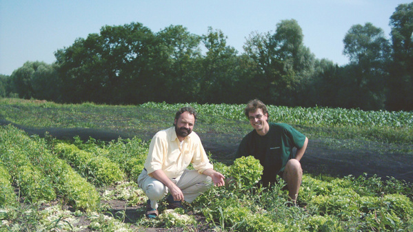 KI generiert: Zwei Männer in einem Gemüsefeld, knieend zwischen Salatpflanzen bei sonnigem Wetter.