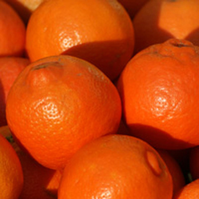 Produktfoto zu Mineolas