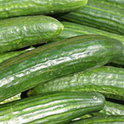 Produktfoto zu Gurke