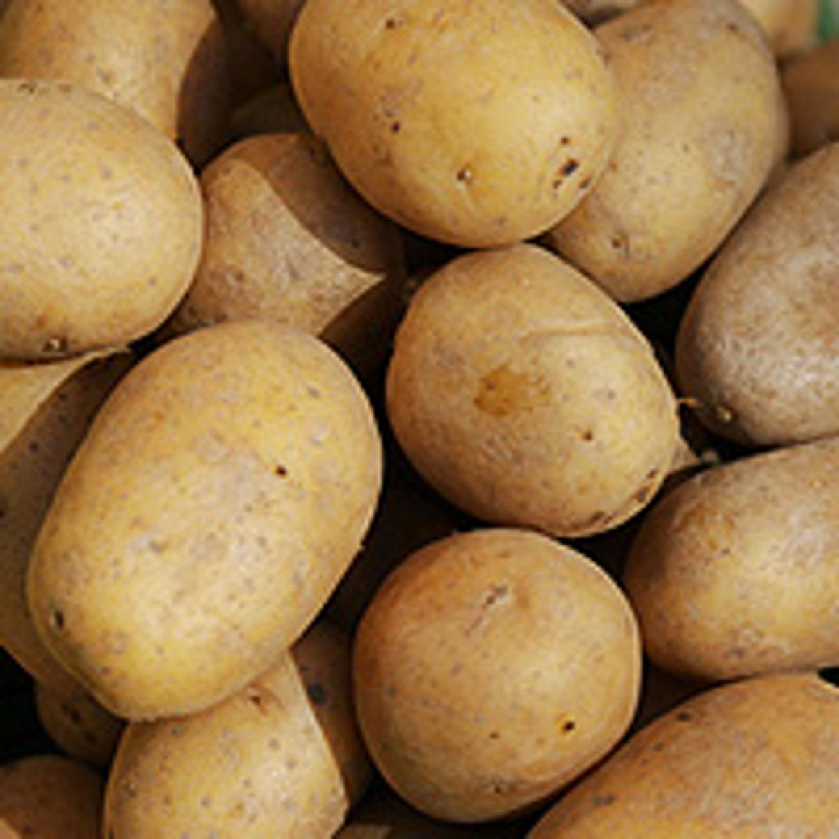 Butterkartoffeln (kleine Ofenkartoffeln)