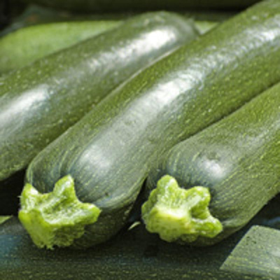 Produktfoto zu Zucchini zum Füllen