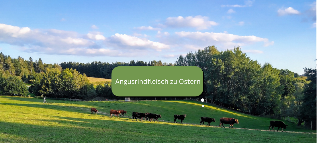 KI generiert: Kühe auf einer grünen Wiese. Text: "Angusrindfleisch zu Ostern".