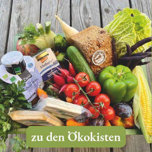 KI generiert: Frische Lebensmittel und Brot in einem Korb; Text: "zu den Ökokisten".