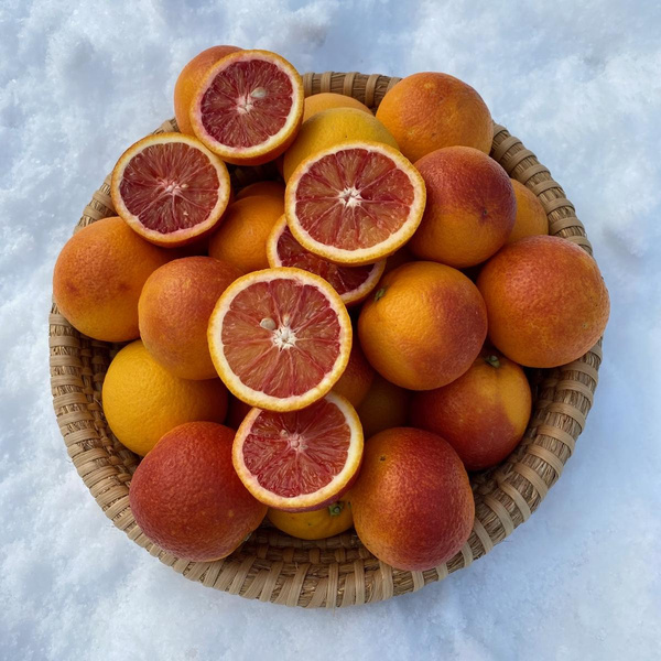 Produktfoto zu Orangen Moro (Blutorangen)