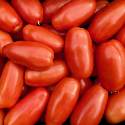 Produktfoto zu Tomaten 'Eiertomaten' regio